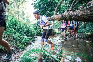 BIB: 
                            <button type="button" onclick="openModal(25448063)" class="btn btn-primary btn-sm float-right btn-popup" data-toggle="modal" data-target=".modal-high-quality">
                        <i class="fas fa-shopping-cart"></i> Add to Cart
                    </button>
                                            <button type="button" onclick="isThisMe(25448063, true)" class="btn btn-success btn-sm float-right btn-popup btn-isme hidden" data-toggle="tooltip" data-placement="bottom" title="นี่คือรูปของคุณใช่ไหม คลิกที่นี่เพื่อเอาเข้าอัลบั้ม">
                        <i class="fas fa-plus"></i> Add to album
                    </button>
                    <button type="button" onclick="isThisMe(25448063, false)" class="btn btn-warning btn-sm float-right btn-popup btn-isnotme hidden">
                        <i class="fas fa-ban"></i> Remove from album
                    </button>